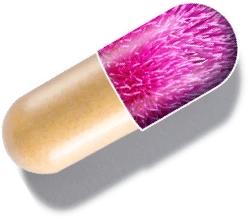 capsule graphic showing 1MD Nutrition LiverMD ingredient Siliphos a bioavailable silybin