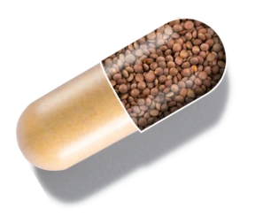 capsule graphic showing 1MD Nutrition LiverMD ingredient N-Acetyl_Cystine